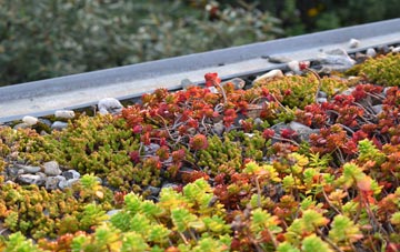 the cost of Kirk Smeaton green roof installation