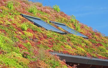 Kirk Smeaton living roof systems